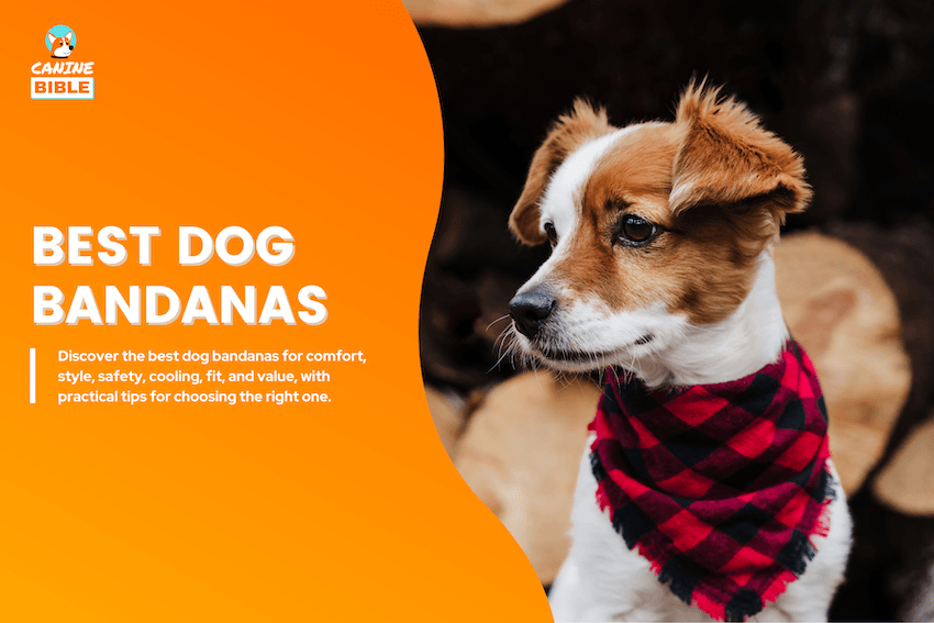 best dog bandanas