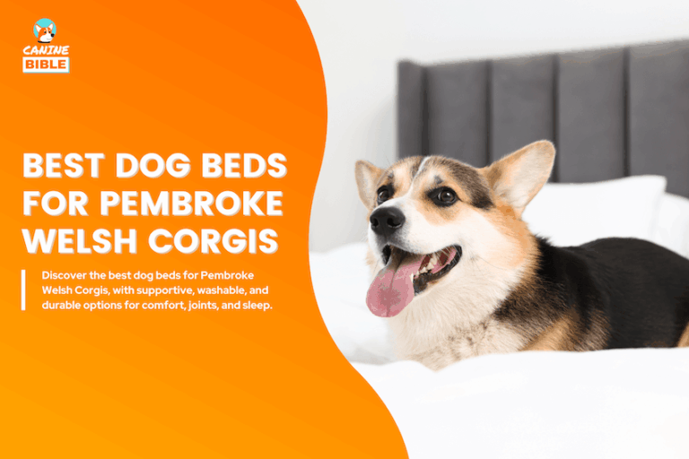 Best Dog Beds for Pembroke Welsh Corgi
