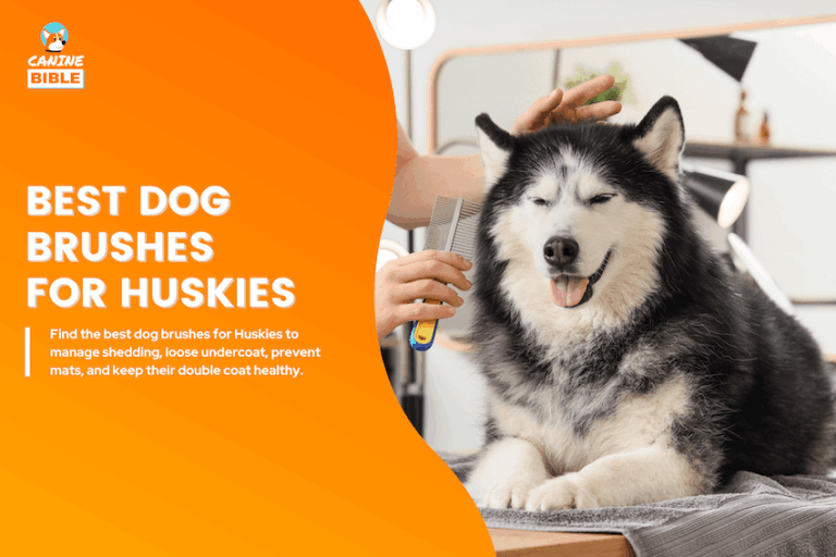 best dog brush for husky