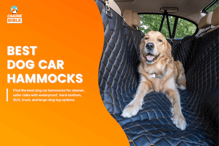 Best Dog Car Hammocks