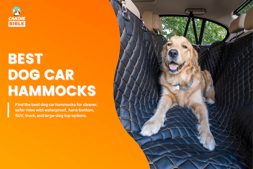 Best Dog Car Hammocks