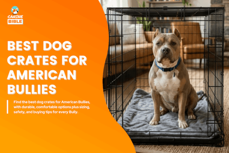Best Dog Crates for American Bullies