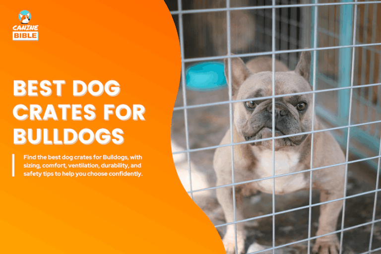Best Dog Crates for Bulldogs