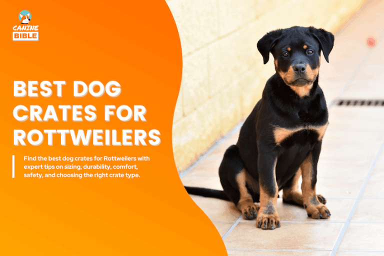 Best Dog Crates for Rottweilers