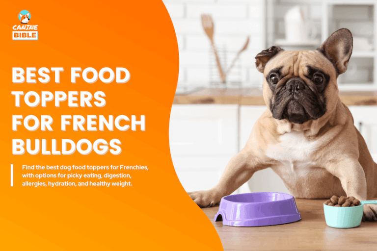 best food toppers for french bulldogs