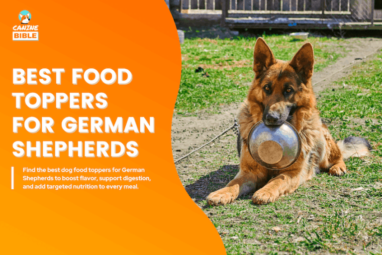Best Dog Food Toppers for German Shepherds