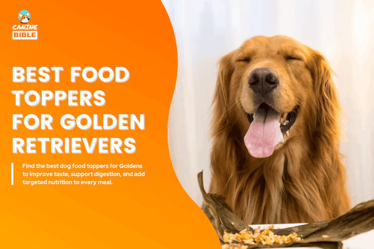 Best Dog Food Toppers for Golden Retrievers