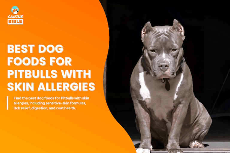 best dog food for pitbulls with skin allergies