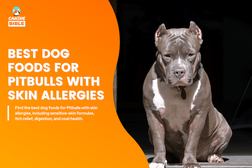 best dog food for pitbulls with skin allergies