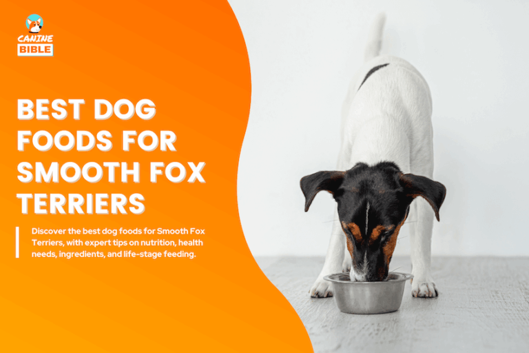 best dog foods for smooth fox terriers