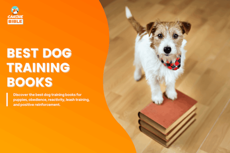 Best Dog Training Books