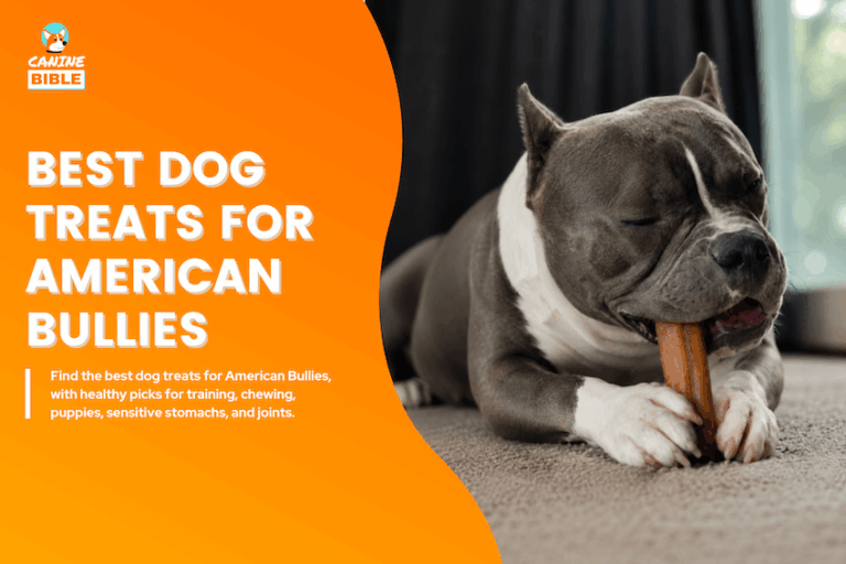 Best Dog Treats for American Bullies