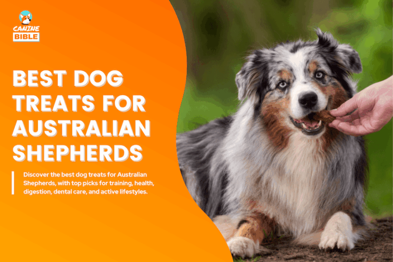 Best Dog Treats for Australian Shepherds