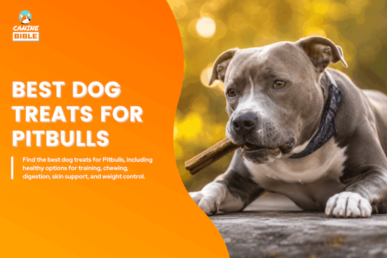 best dog treats for pitbulls