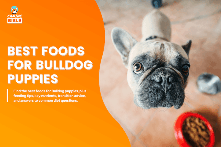 Best Foods for Bulldog Puppies