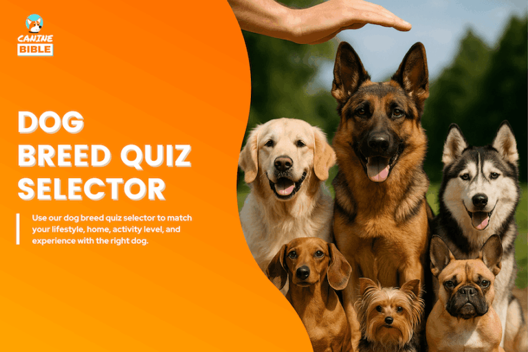 dog breed quiz selector