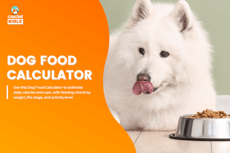 Dog Food Calculator
