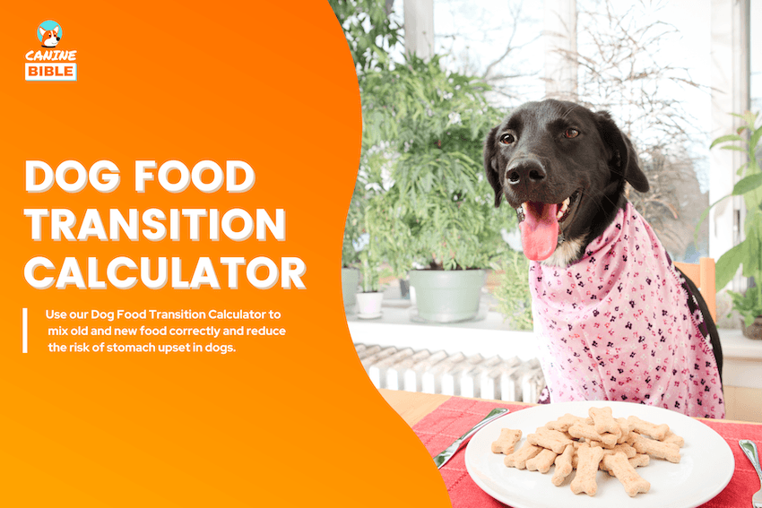 Dog Food Transition Calculator