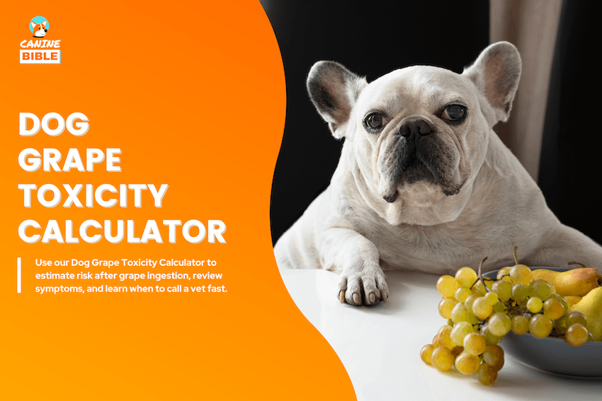 Dog Grape Toxicity Calculator