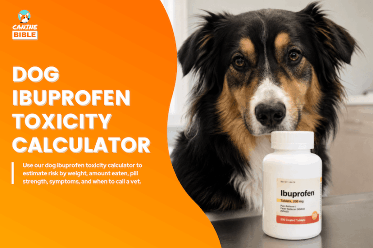 Dog Ibuprofen Toxicity Calculator