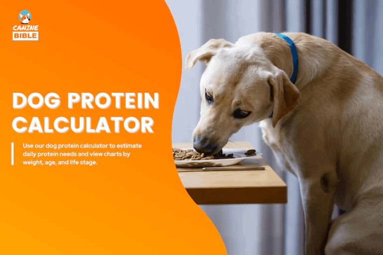 Dog Protein Calculator