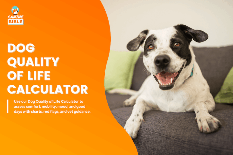 Dog Quality of Life Calculator
