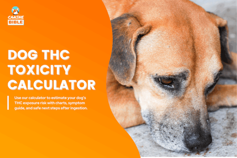 Dog THC Toxicity Calculator