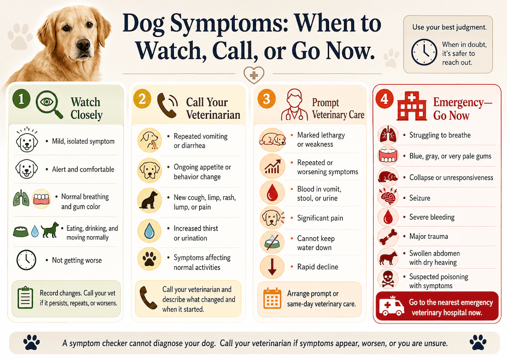 Dog symptoms guide- when to act