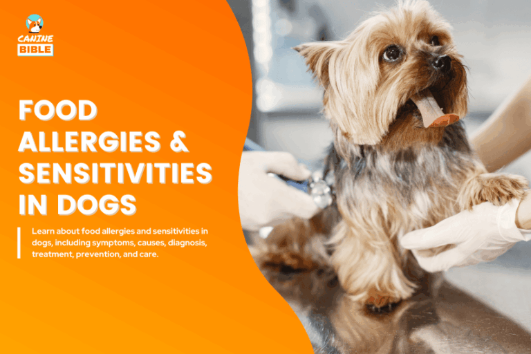Food Allergies & Sensitivities in dogs