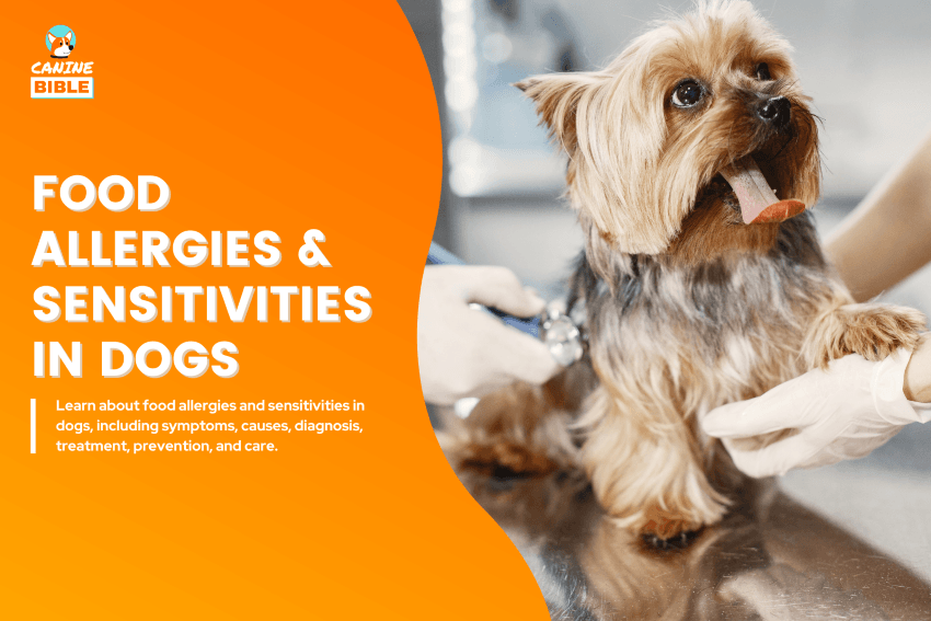 Food Allergies & Sensitivities in dogs