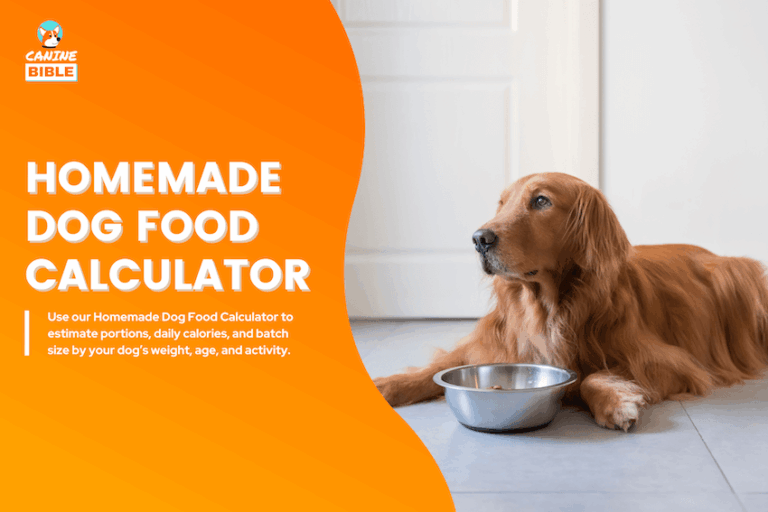 homemade dog food calculator