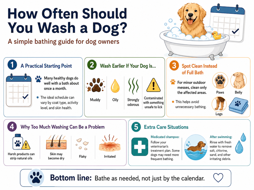How often should you wash a dog