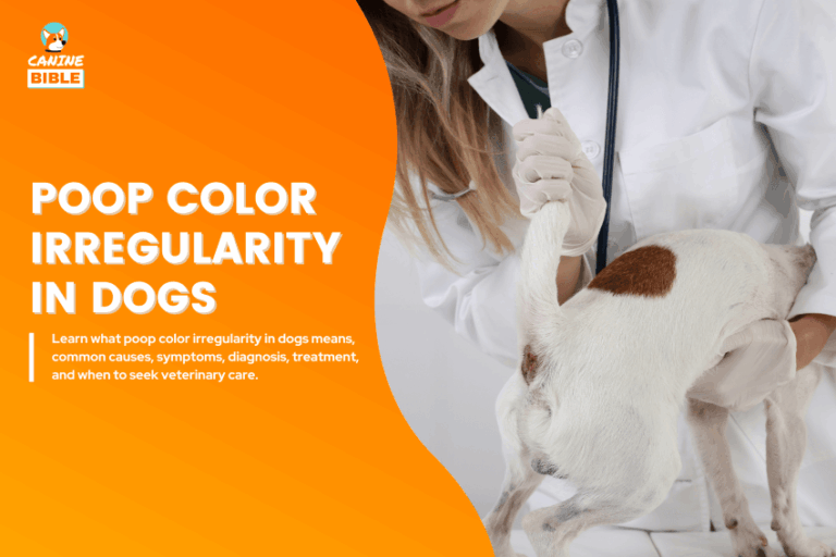 Poop Color Irregularity in dogs