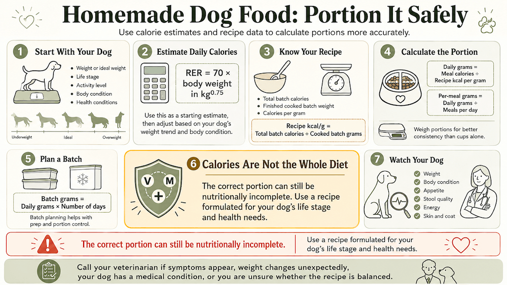 Portioning homemade dog food guide