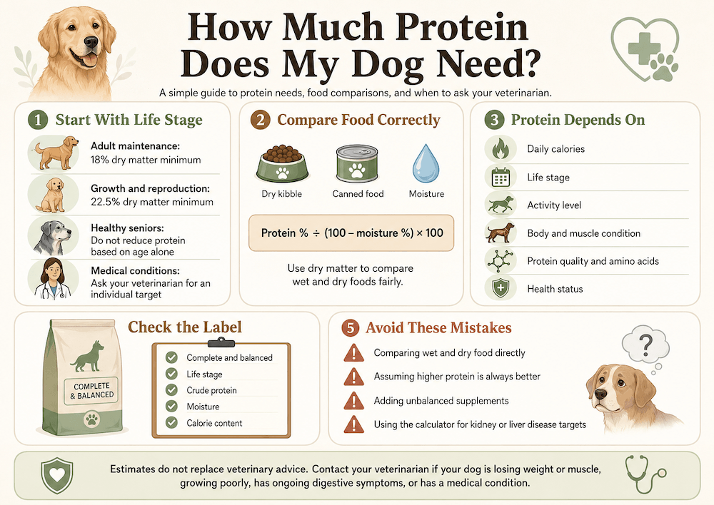 Protein needs of dogs