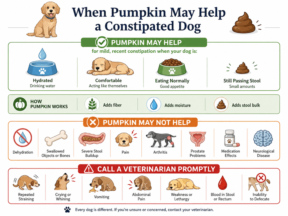 When pumpkin may help a dog