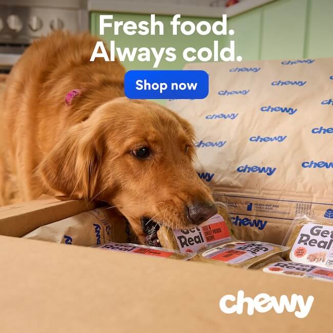 Chewy in-article mobile banner