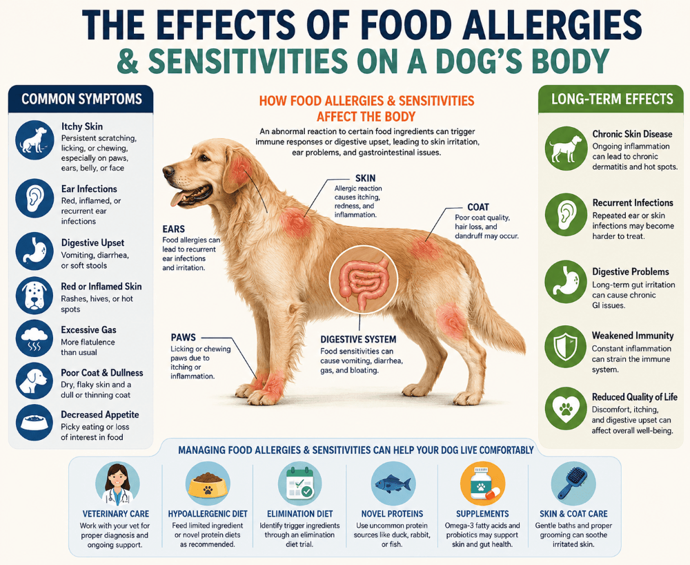 dog Food Allergies & Sensitivities symptoms