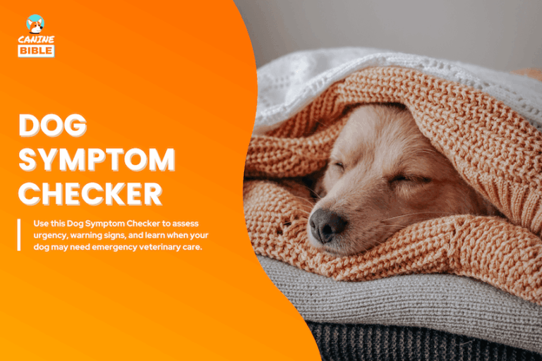 dog symptom checker