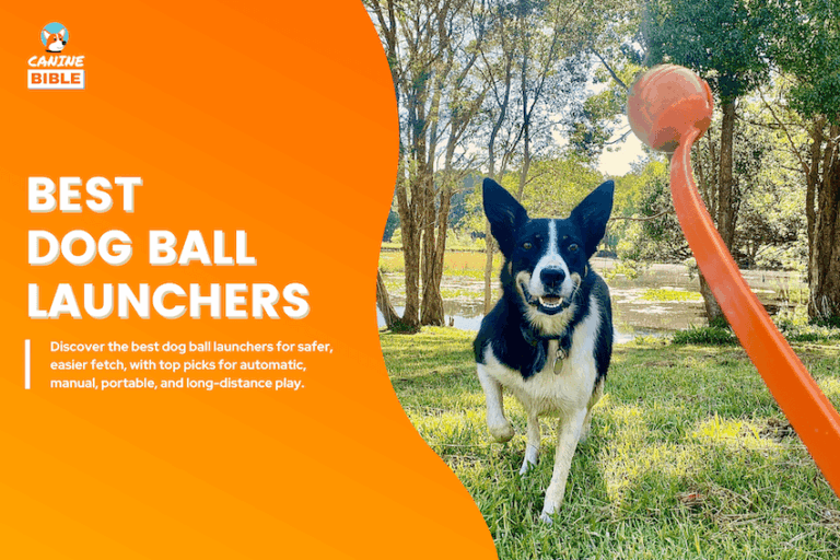 Best Dog Ball Launchers
