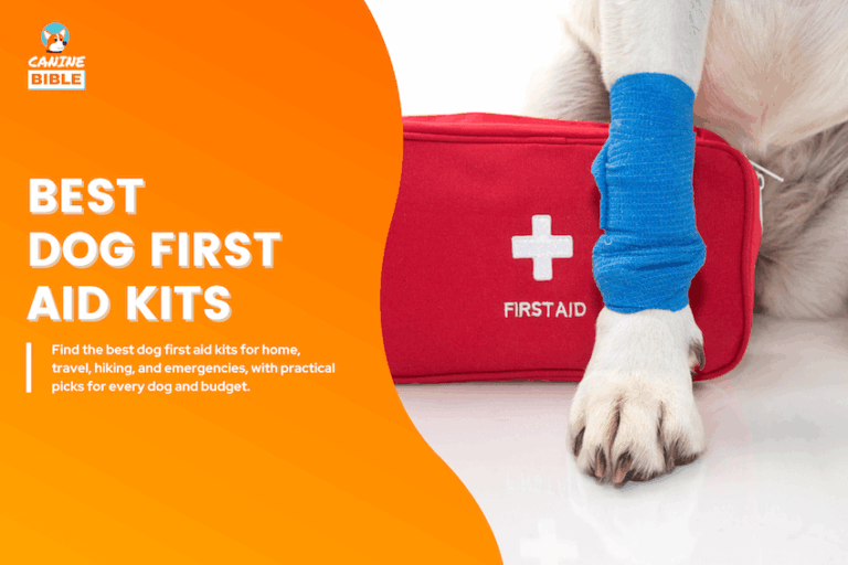Best Dog First Aid Kits