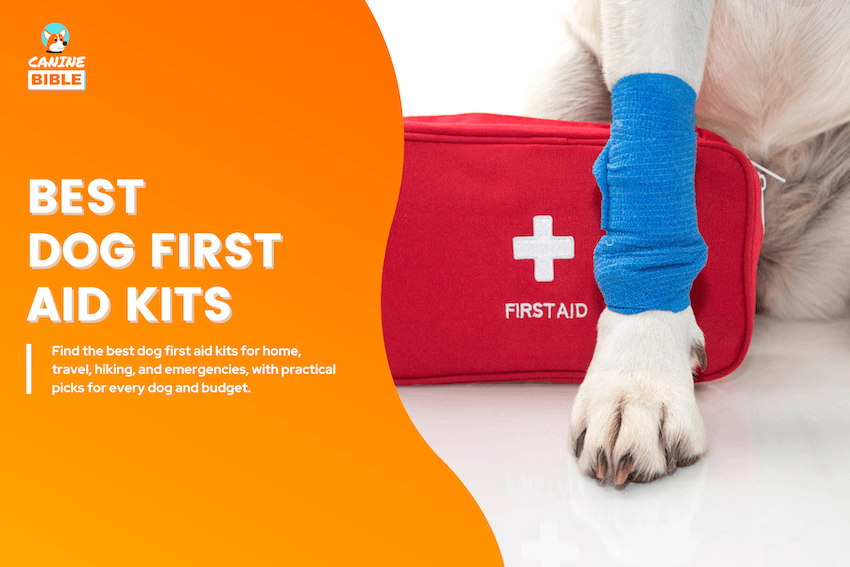 Best Dog First Aid Kits