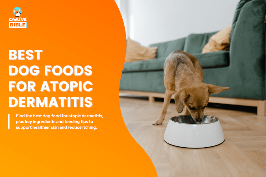 best dog food for atopic dermatitis
