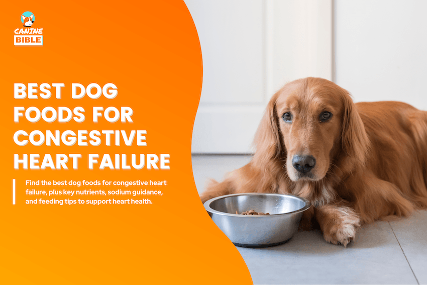 Best Dog Foods for Congestive Heart Failure