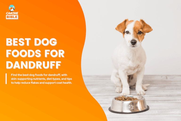 Best Dog Foods for Dandruff
