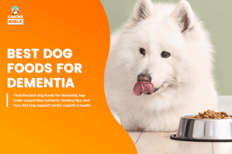 Best Dog Foods for Dementia