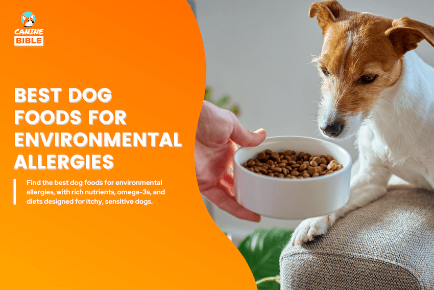 Best Dog Foods for Environmental Allergies