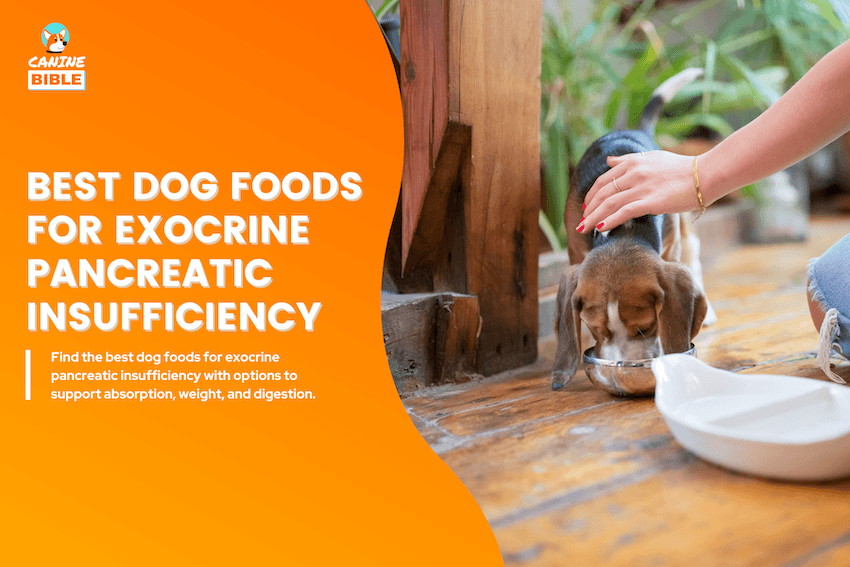 Best Dog Foods for Exocrine Pancreatic Insufficiency