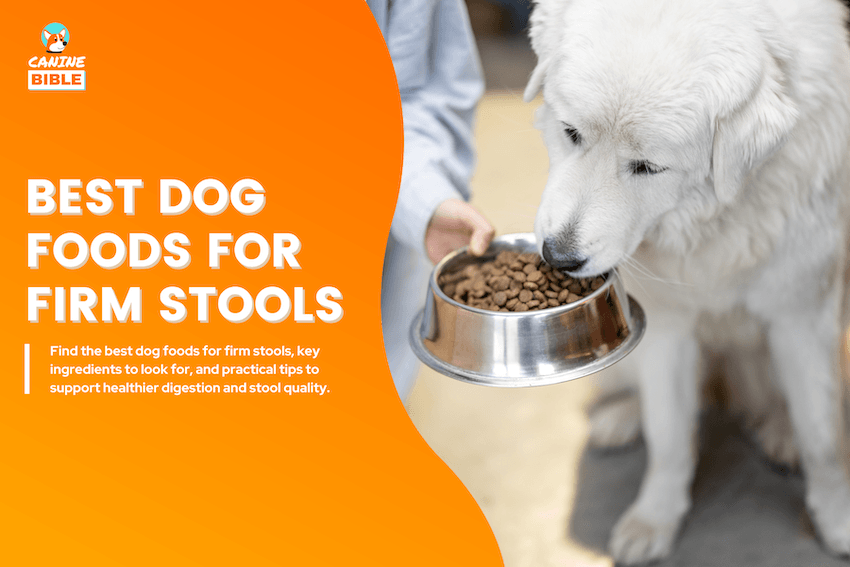 Best Dog Foods for Firm Stools