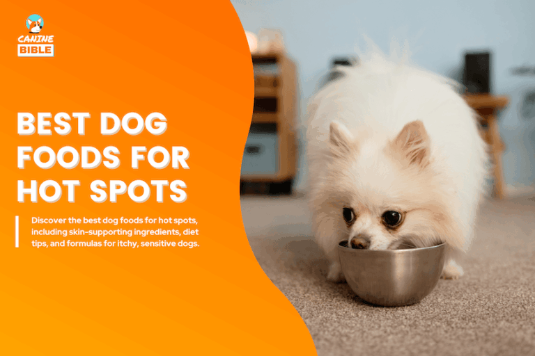 Best Dog Foods for Hot Spots